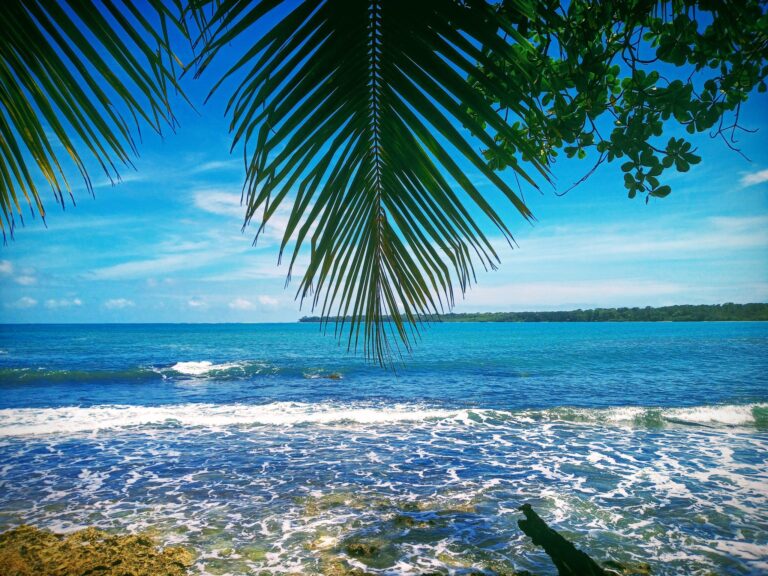 Fonktown production company in Costa Rica - Caribbean coast - Beach coastline at Playa Negra, Parque N