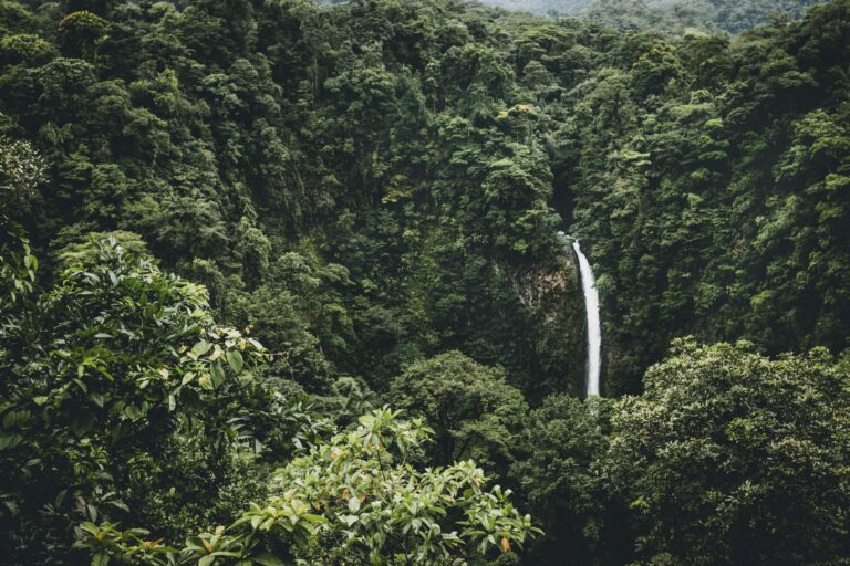 Fonktown production company in Costa Rica Northern Zone