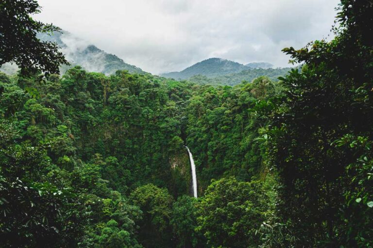 Fonktown production company in Costa Rica - northern-zone
