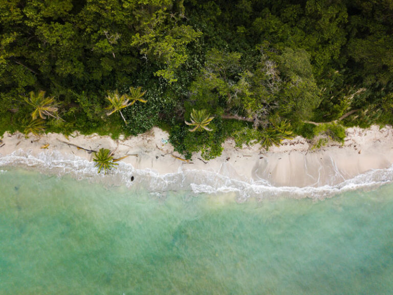 Fonktown production company in Costa Rica - caribbean